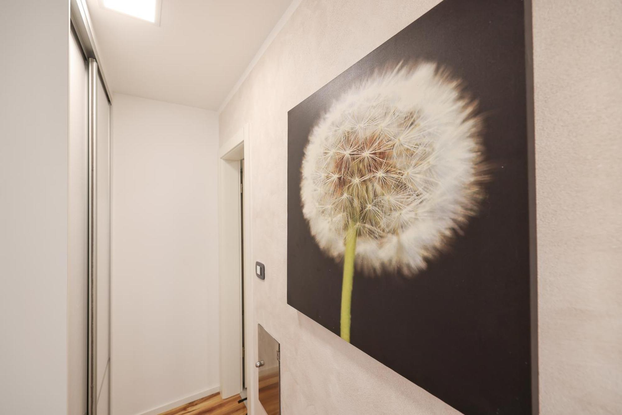 Apartment Anita Zára Kültér fotó